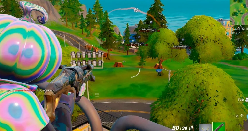 Fortnite character cosmetics and gear appearance options